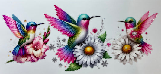Kolibri 5