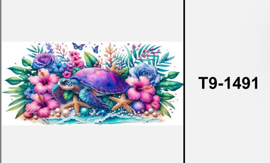 Schildkröte T9-1491