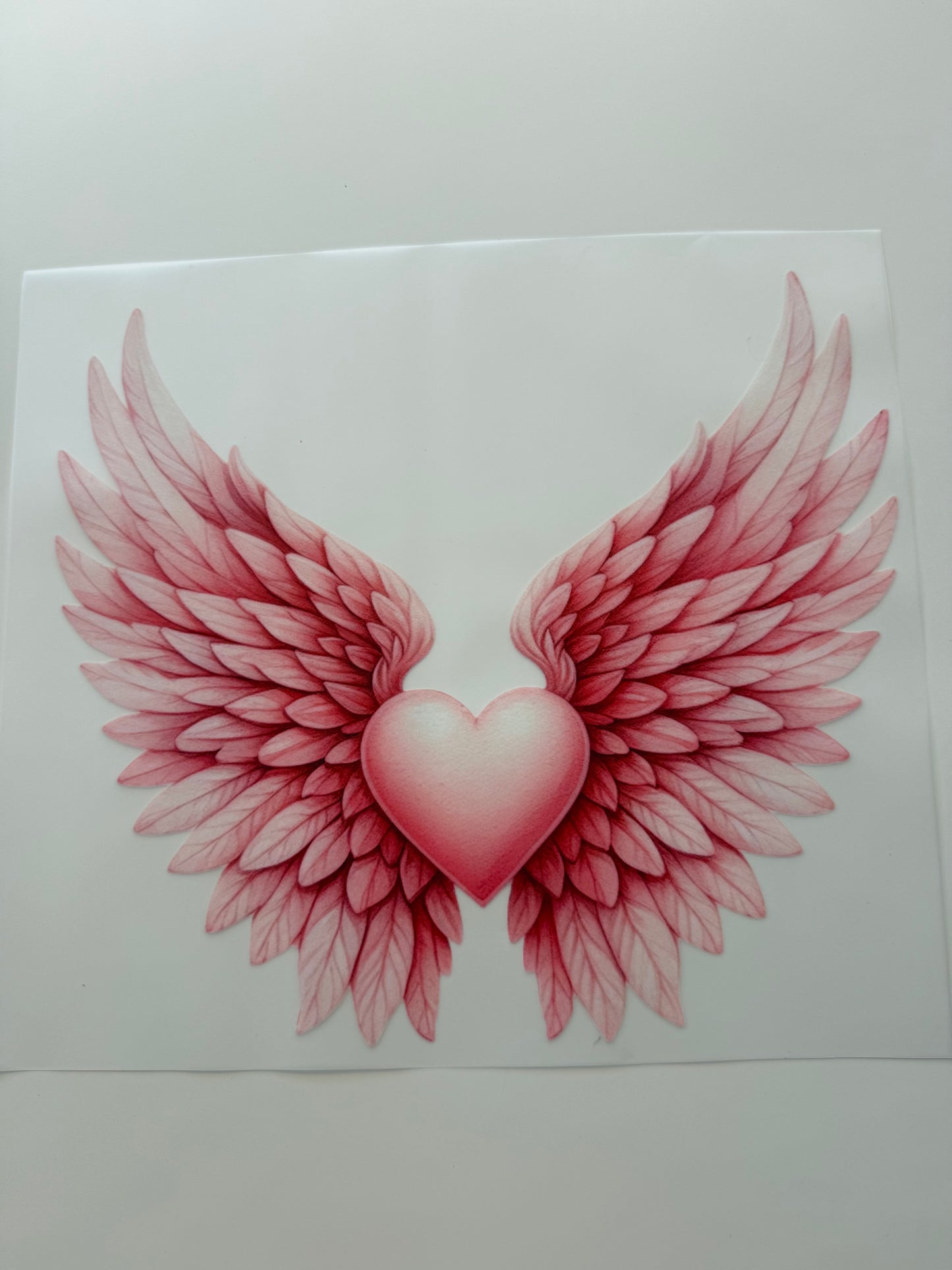Angel wings 5