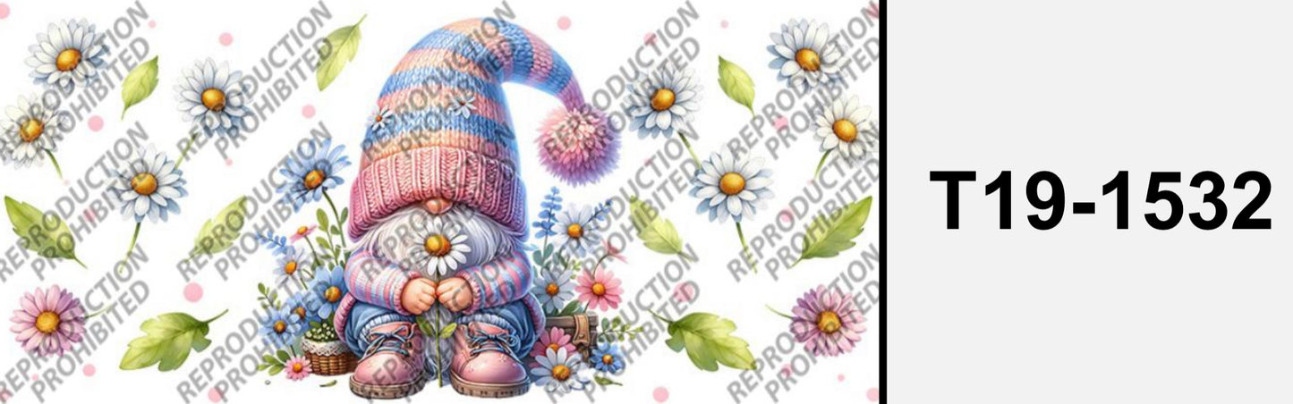 Süsser Zwerg  T19-1532