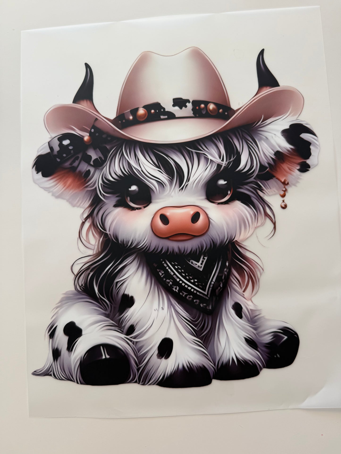 🤍🖤cow