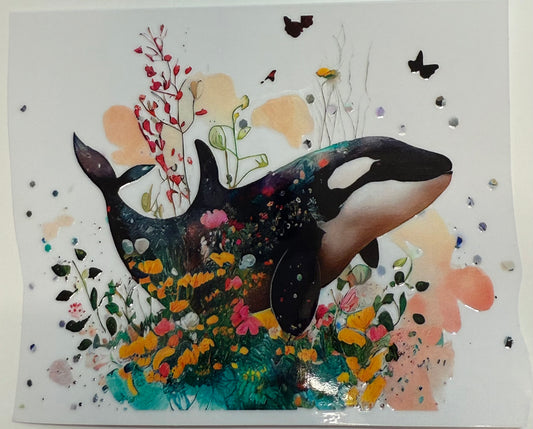 Orca