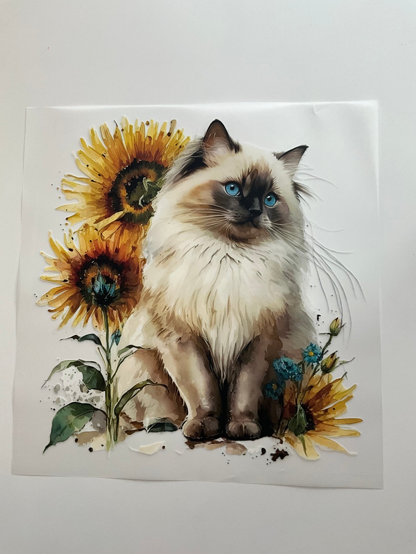 Textil Sticker- Beautiful cat
