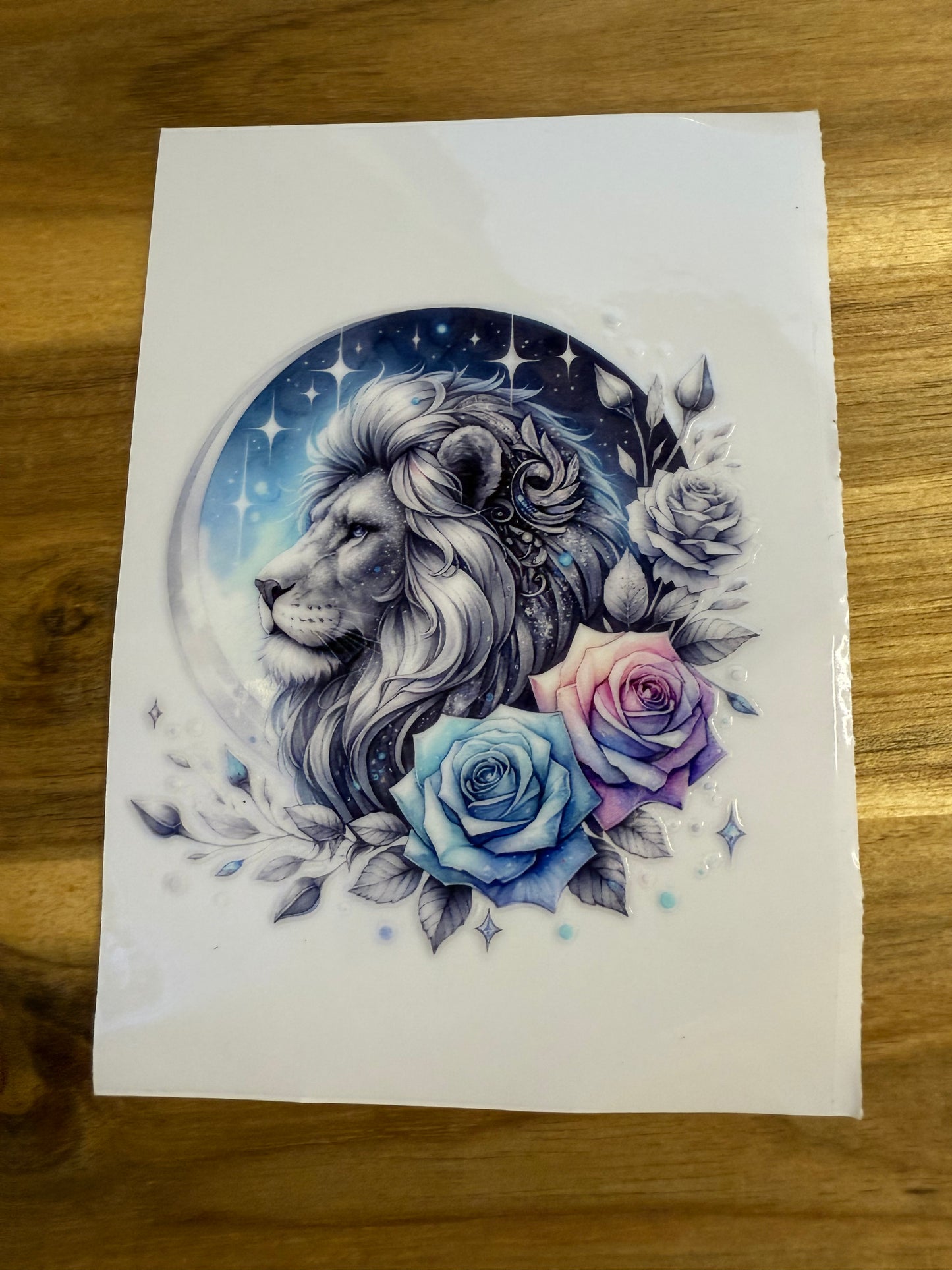 322 verschiedene Löwe