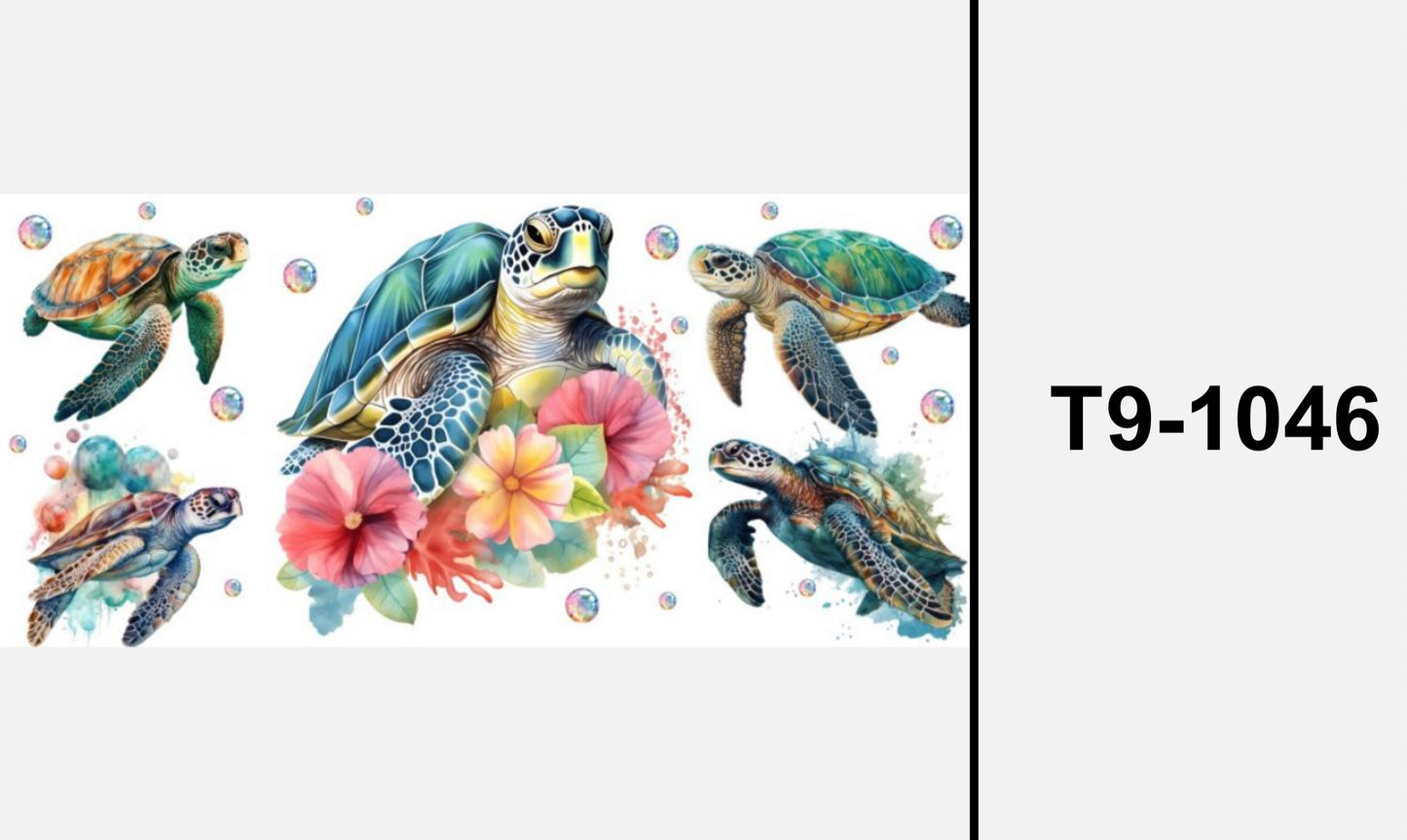 Schildkröte T9-1046