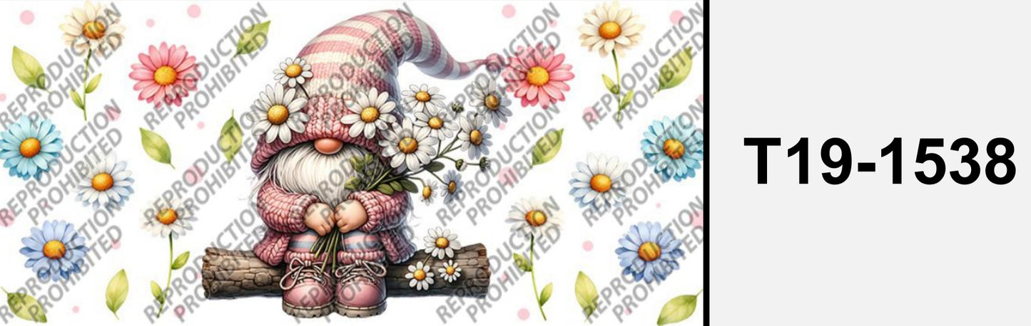 Süsser Zwerg  T19-1538