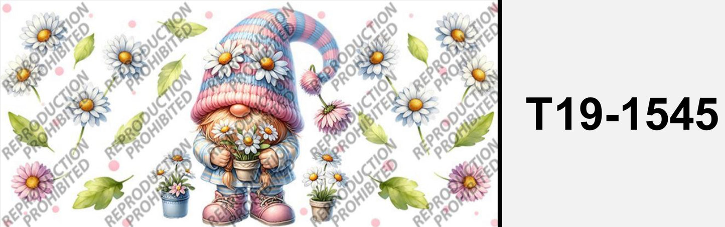 Süsser Zwerg  T19-1545