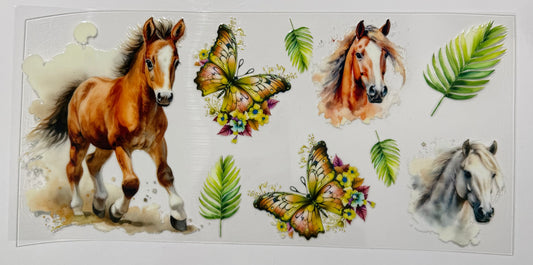 Pferde Fohlen Butterflies
