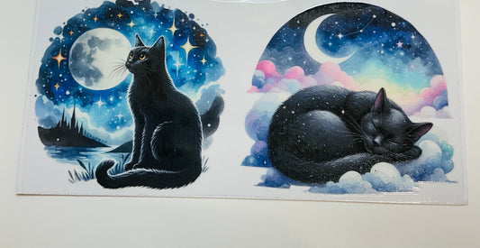 255 Katze