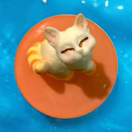 “Schnurr Deluxe – Katze auf Aprikodream”