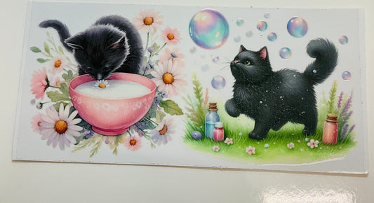 257 Katze