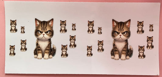 Grumpy Cat