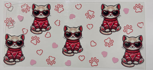 CAT cute