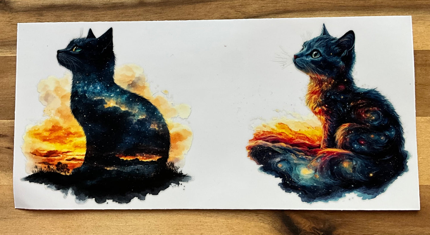 Wundervolle Katzen