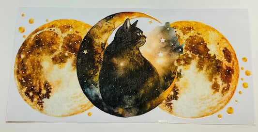 264 Katze