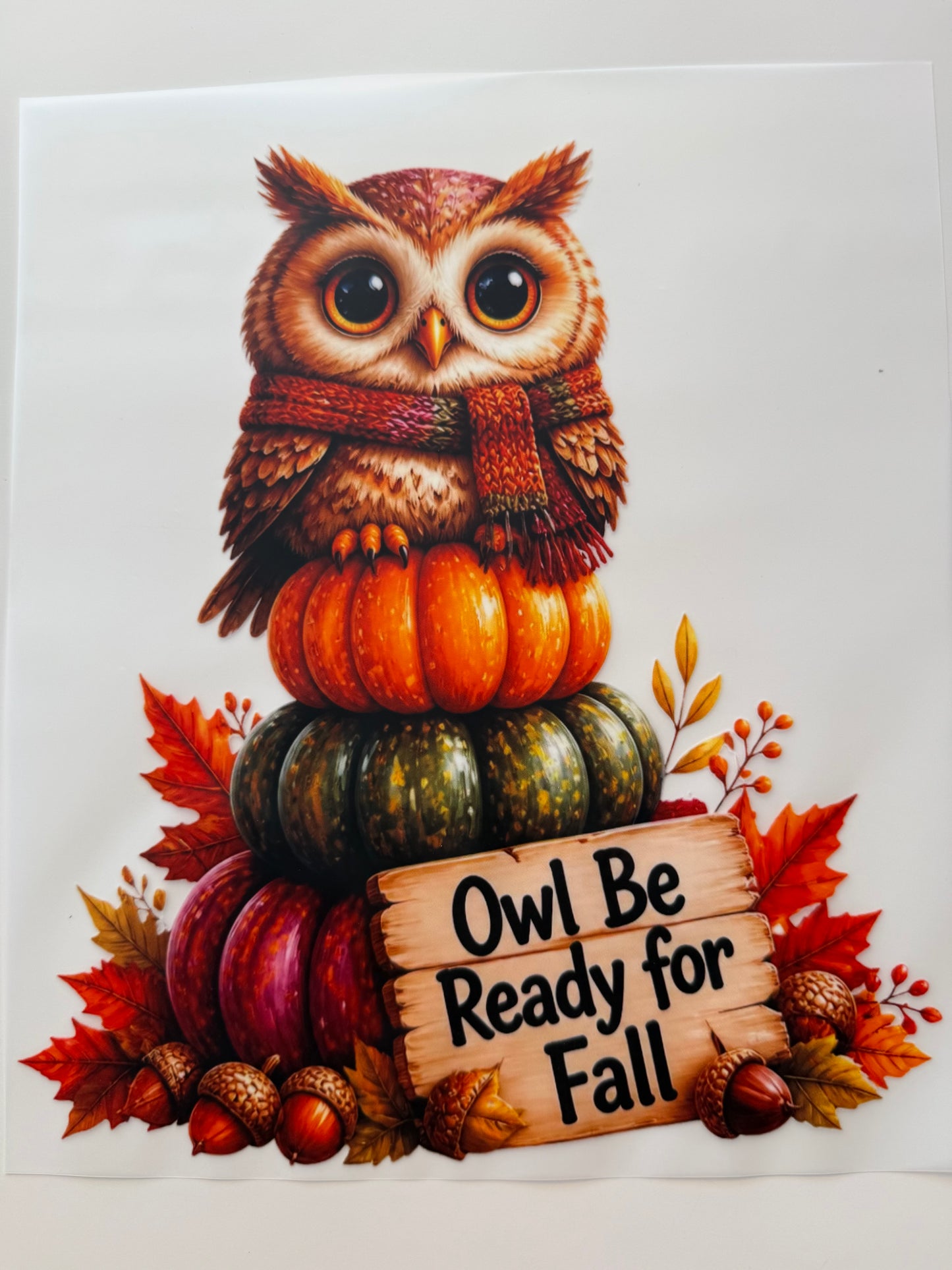Owl be ready for fall
