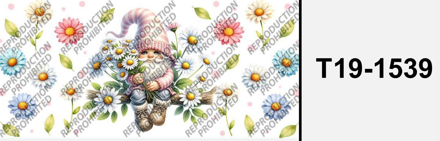 Süsser Zwerg  T19-1539