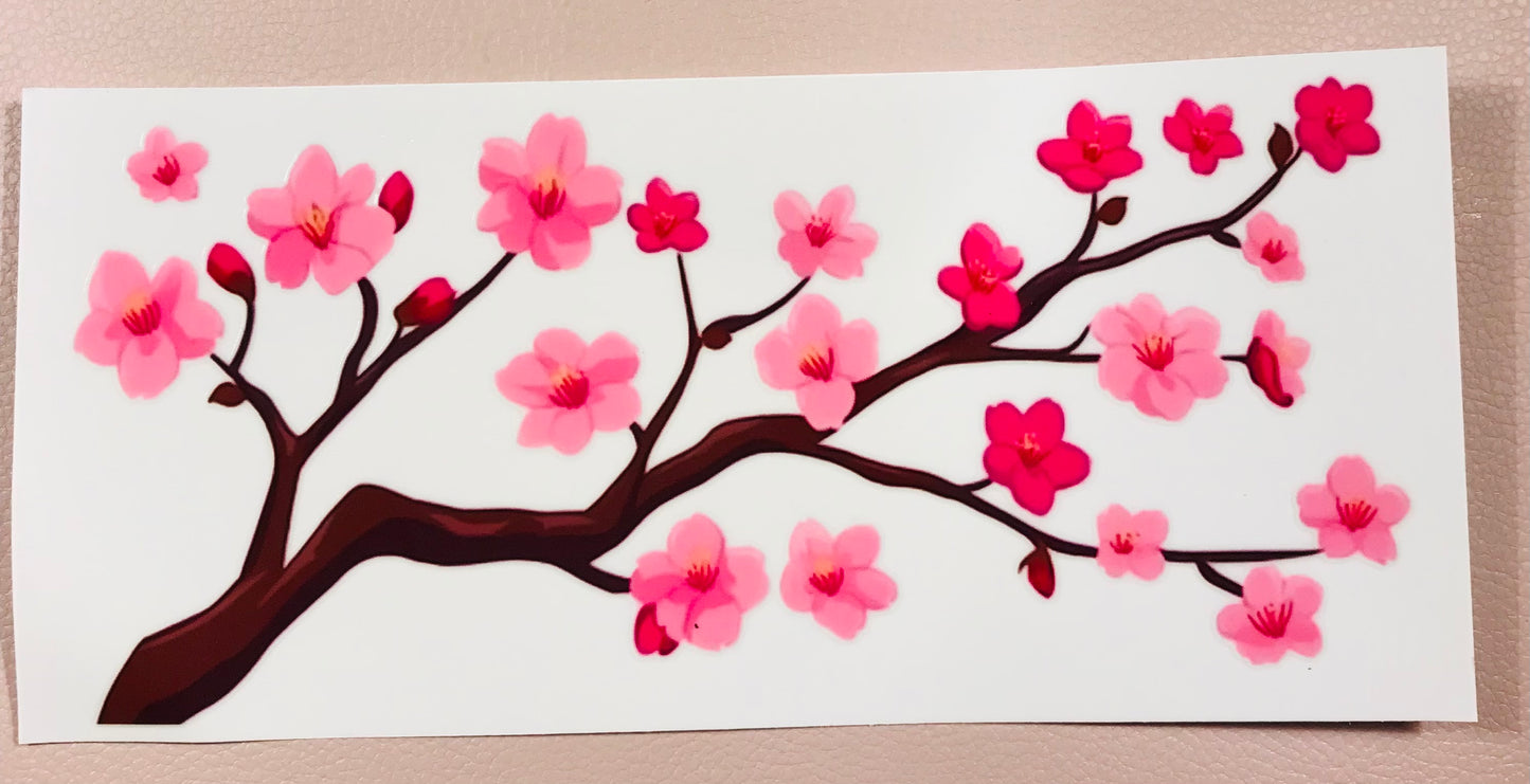 Kirschblüte 9