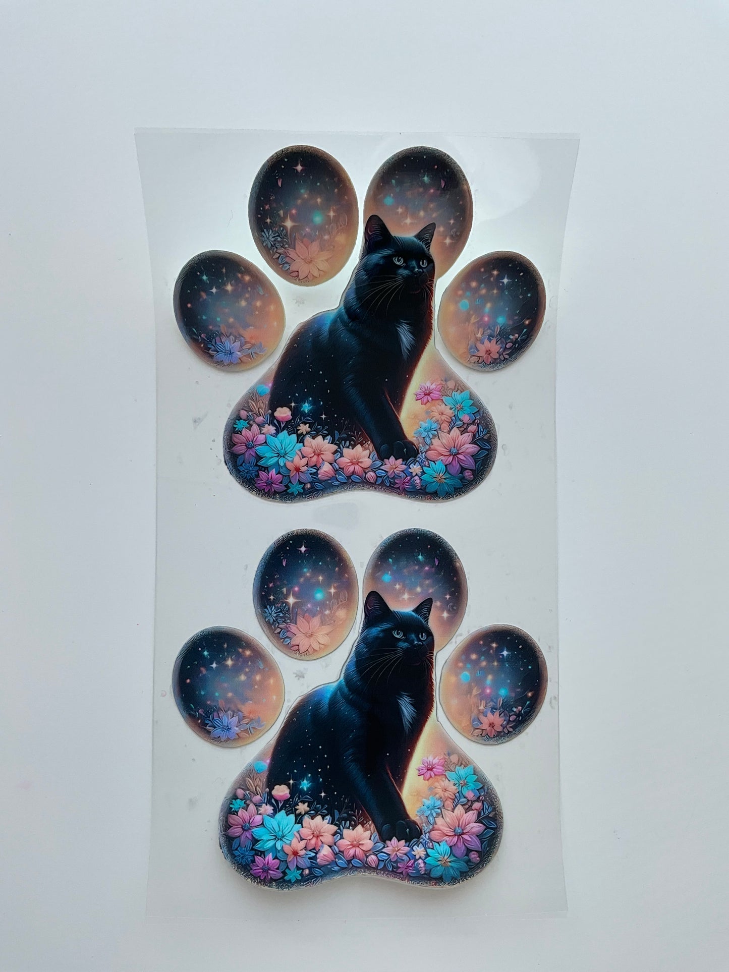 Pfote Katzen
