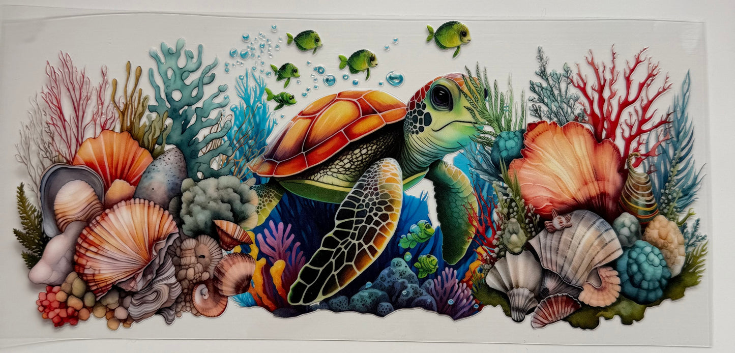 Turtle 1