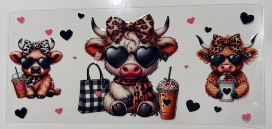 Black Leo cow  rosa Nase