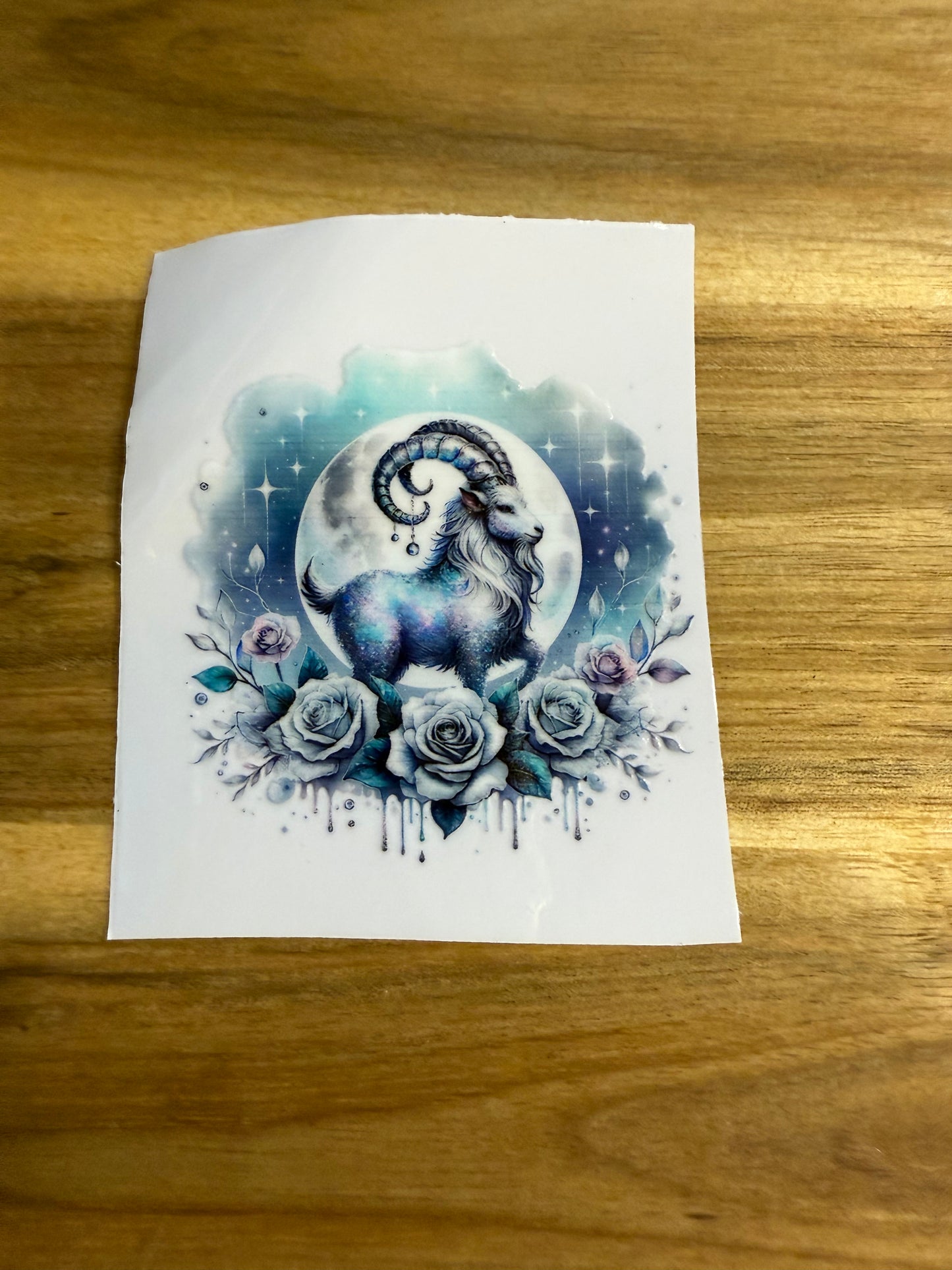 328 verschiedene Steinbock