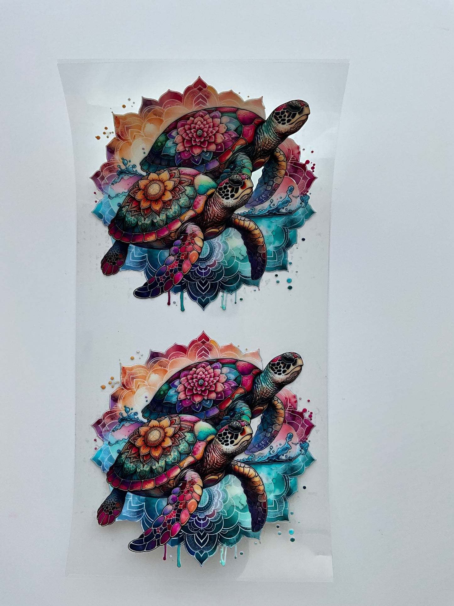 Turtle 4