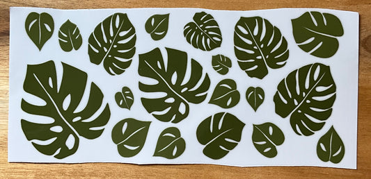 Monstera Blatt