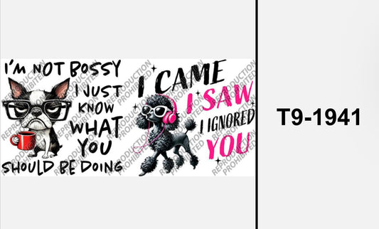 Not a bossy dog  T9-1941