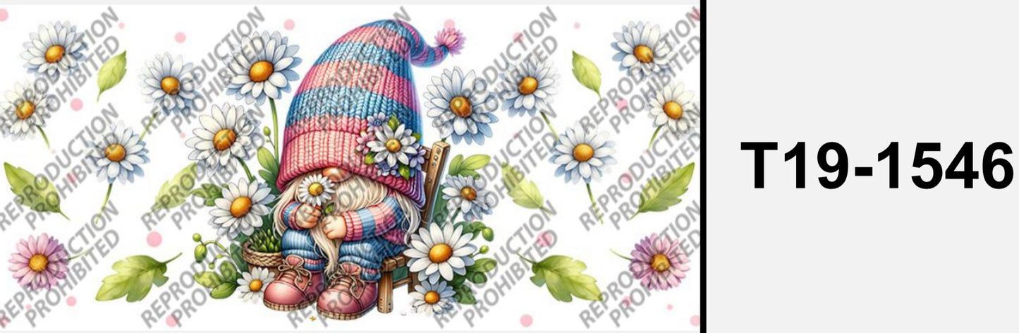 Süsser Zwerg  T19-1546