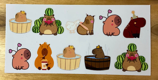 Capybara wellness