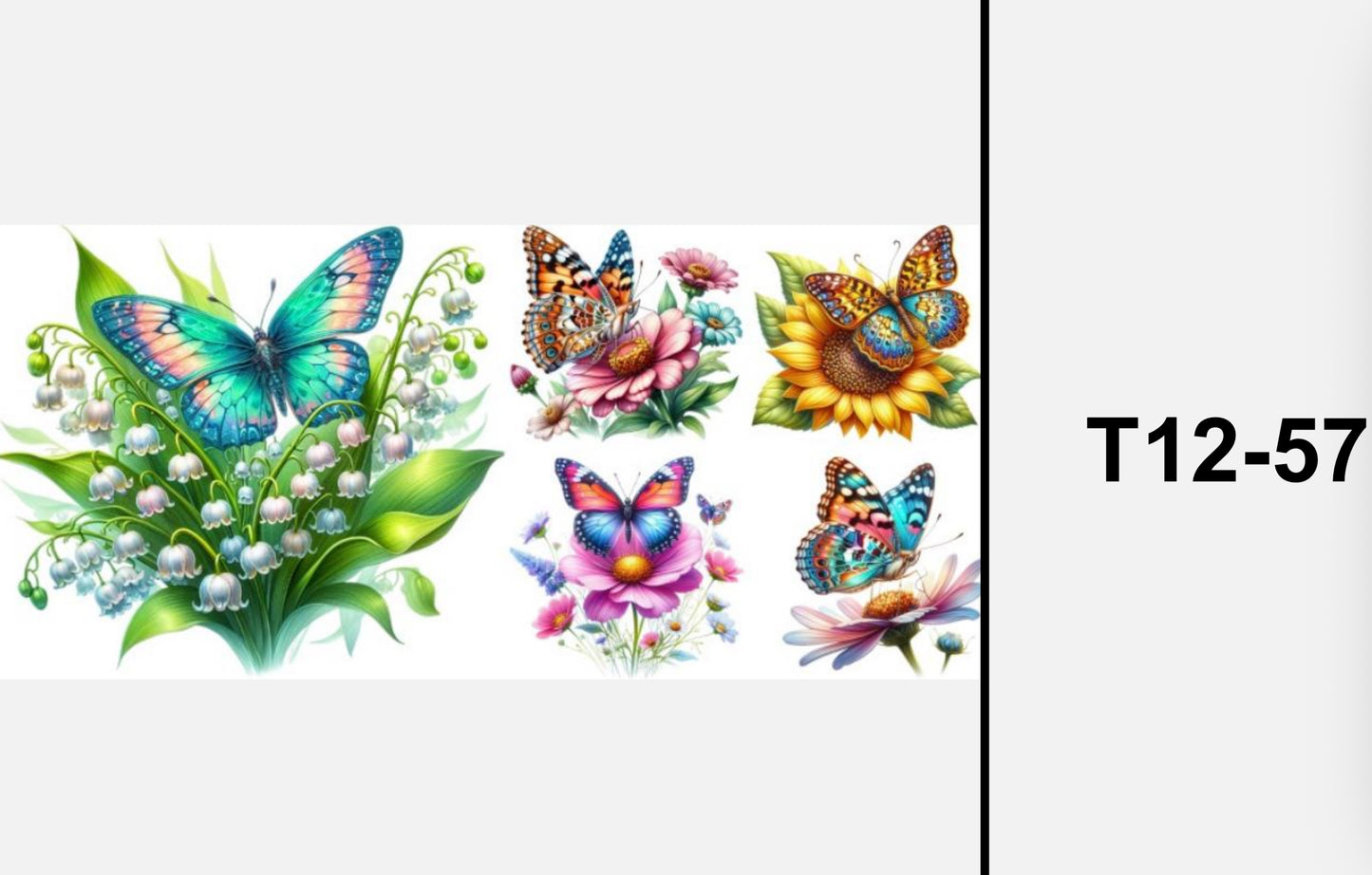 T12-57 butterflies