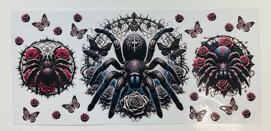 316 Spinne Tarantel