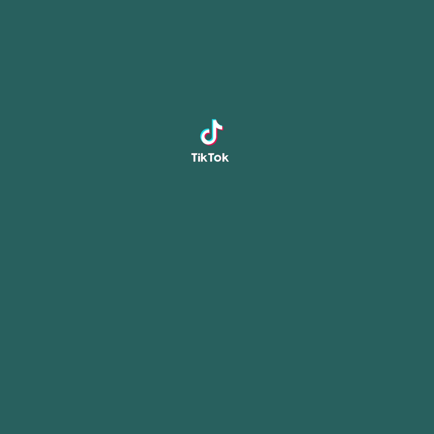 TikTok live shopping ghost Becher Edelstahl schwarz